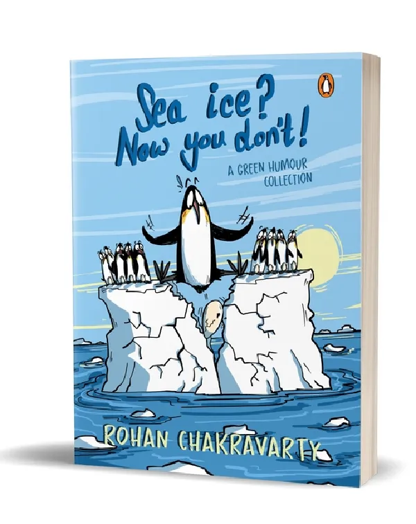 Sea Ice? Now You Dont !