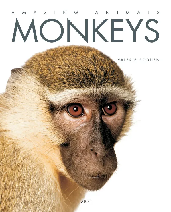 Monkeys