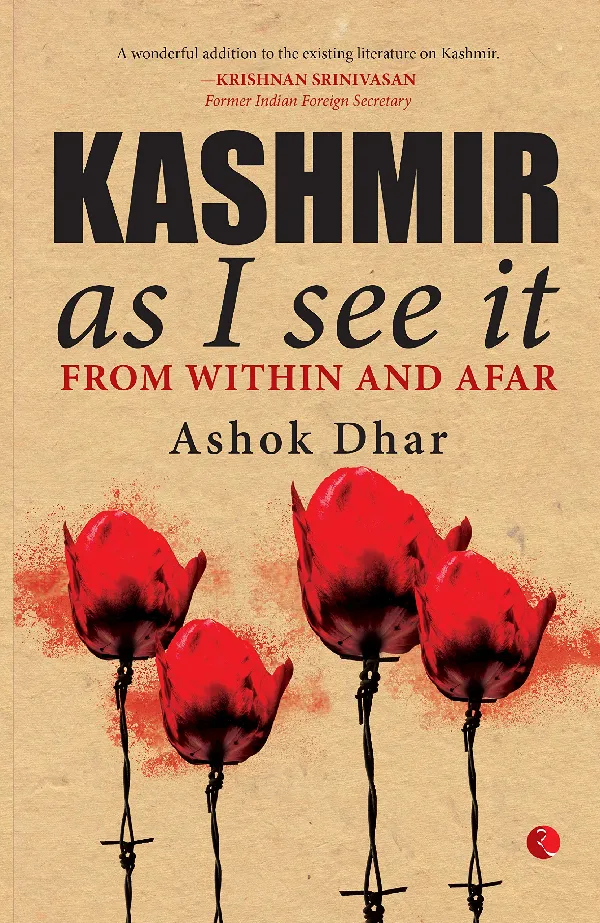 Kashmir As I See It: From within and afar