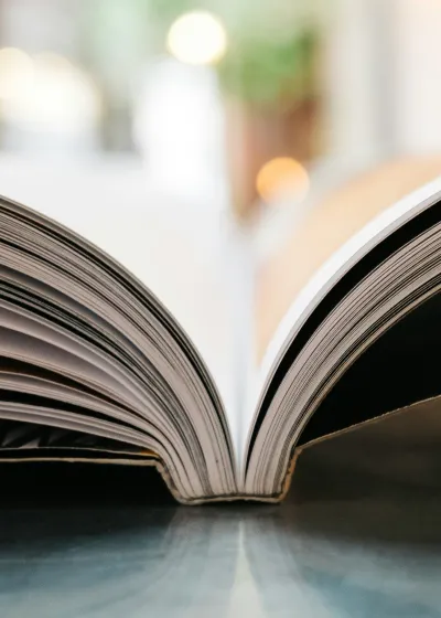 Elements of Company Law  